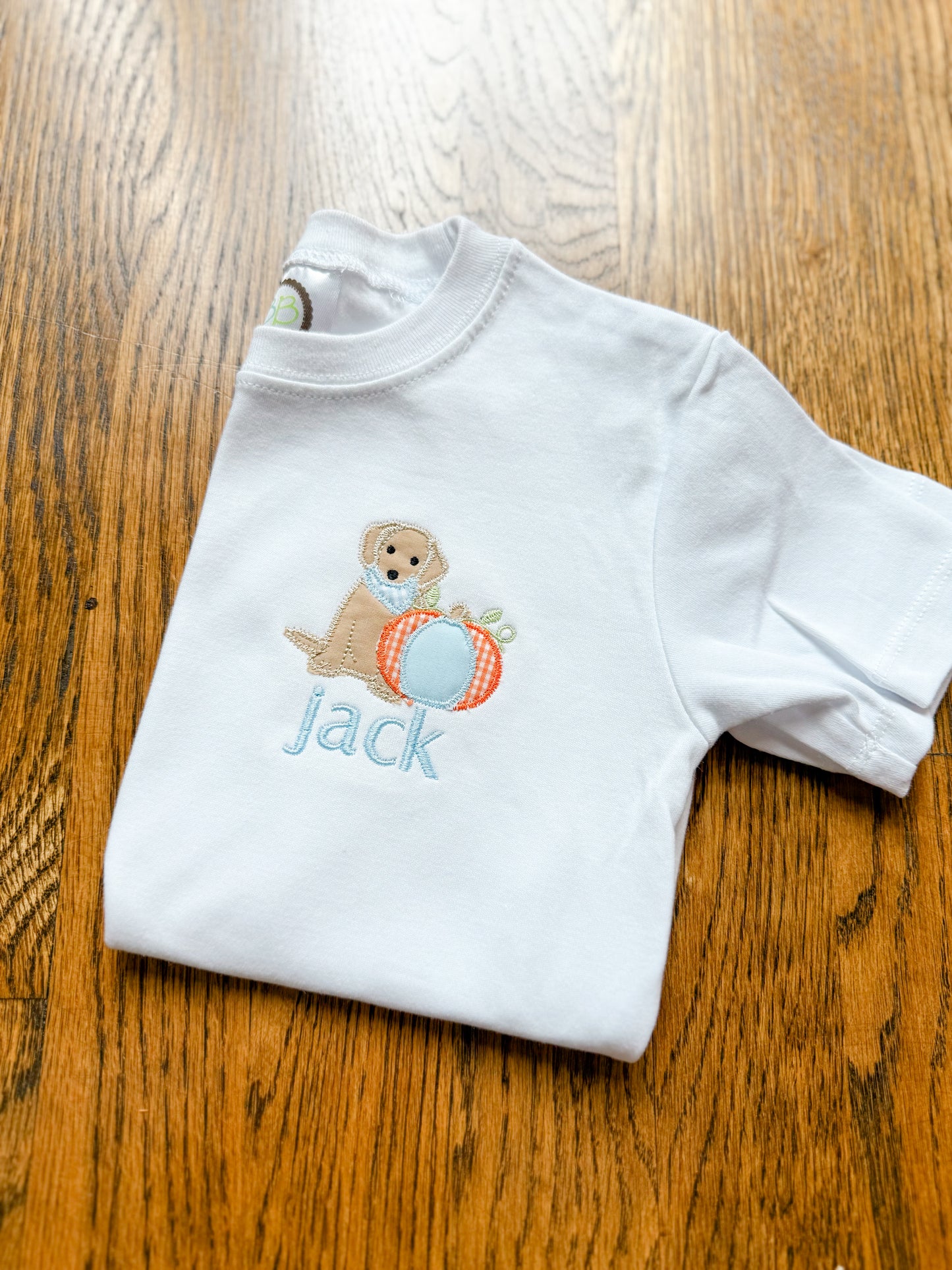 Mini appliqué pumpkin pup (boy)