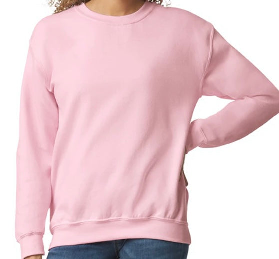 Theme Park Sweatshirt