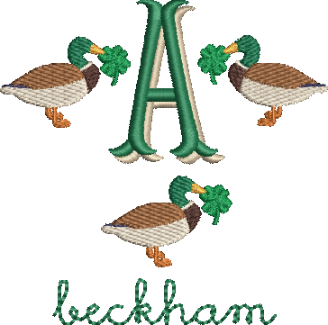 mallard shamrock mini